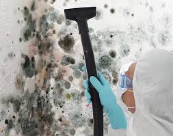 Best Asbestos and Lead Testing During Mold Inspection  in Rainbow Lakes Estates, FL